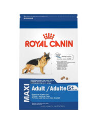 Royal Canin Maxi Adulto Senior 5+