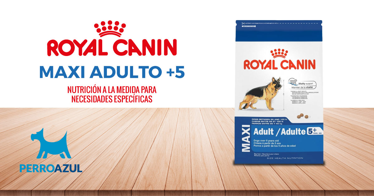 Croquetas para Perro Royal Canin Maxi Adulto +5 Senior