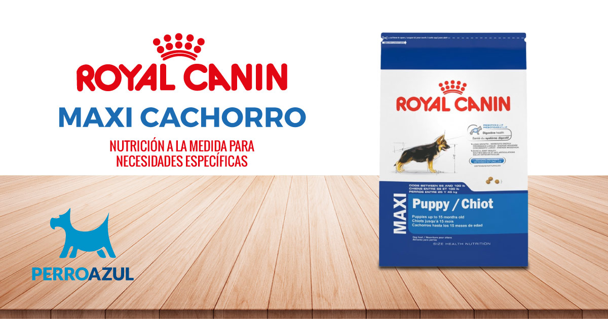 Croquetas para Perro Royal Canin Maxi Cachorro