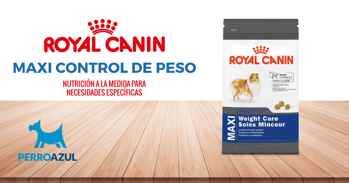 Croquetas para Perro Royal Canin Maxi Control de Peso