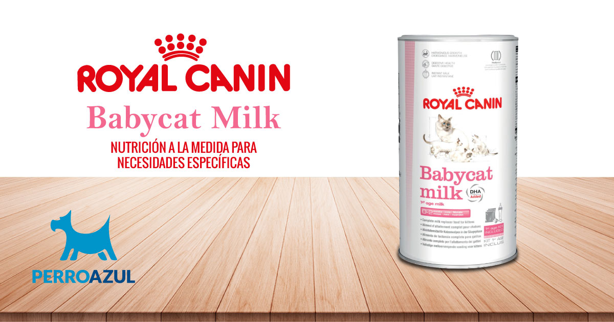 Leche para gato Royal Canin Babycat Milk