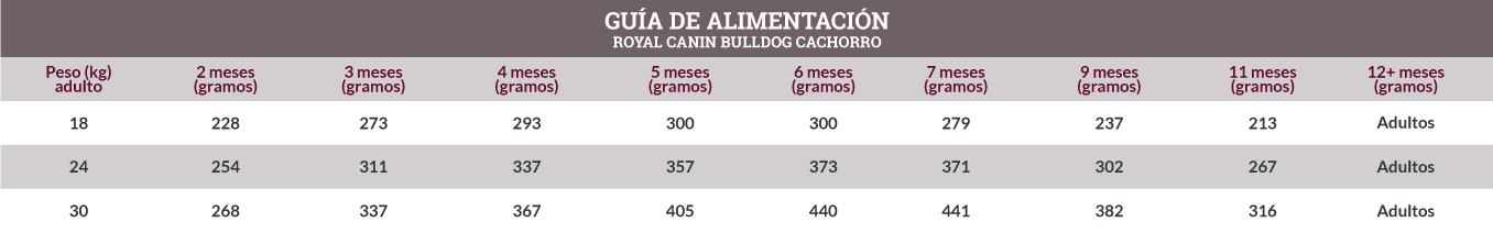 Guía de Alimentación Royal Canin Bulldog Cachorro