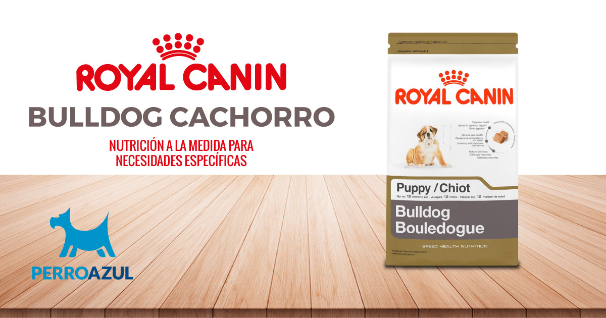 Croquetas para perro Royal Canin Bulldog Cachorro